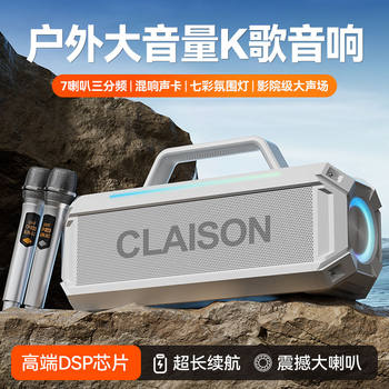 300W Audio Bluetooth Speaker Outdoor Karaoke Microphone All-In-One Machine Square Dance Amplifier Home Ktv Subwoofer