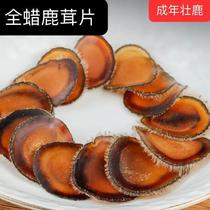 Jilin Plum Blossom Antler Full Wax Sheet Half Ala Sheet Bubble Water Main Character Whole Dry Sheet Bubble Wine Antler Whole Branches Authentic