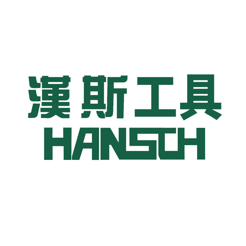 汉斯精密官方企业店的LOGO