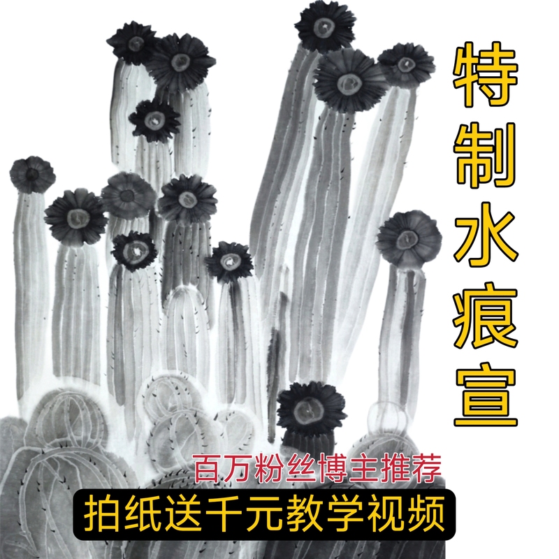 New Extra-Thick Special Water-Marked Rice Paper, Comes with Video and 300 Chinese Painting Powerpoint Presentations (Can Be )