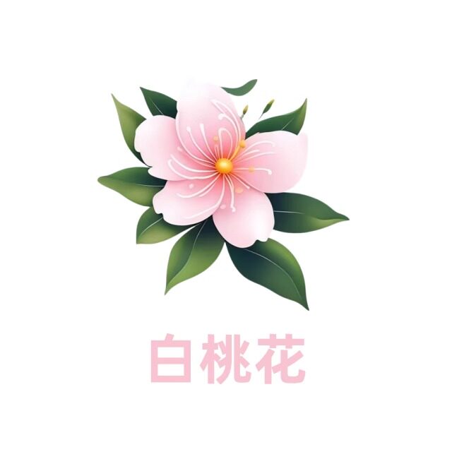 白桃花保健食品店