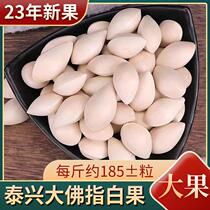 2023 Fall new white fruit when season fresh raw white fruits with shell Taichingyot 2-5 catty gingko fruit big Buddha finger