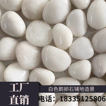 Yunnan white pebble polished rain stone natural feng shui white stone spring paved roads flower basin decorated fish tank
