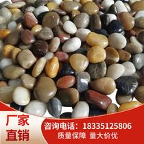 Cobblestone Ravioli Stone Original Stone Fish Tank Built Scenery Water Cultivation Flowers Small Stones Pebble Flower Pot Potted Plant Decoration Five Colorful Stones