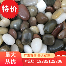Pebble Rainforus Stone Fish Bowl Planting Flower Pot Natural Small Stone Trinity Goose Color Stone