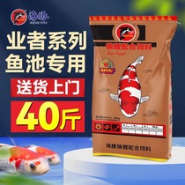 Dolphin koi fish feed special fish food does not breed in muddy water to increase body and color general-purpose floating granular fish food