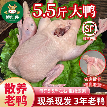 Guangxi’s three-year-old free-range duck is about 5.5 pounds