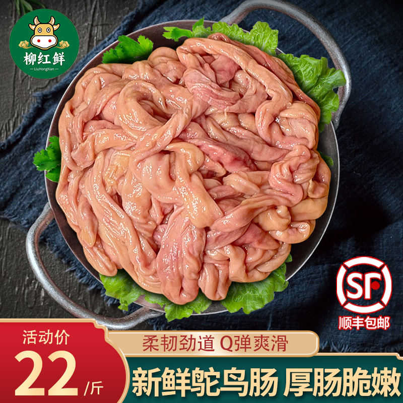 5 pounds of fresh ostrich intestines, freshly killed cultured ostrich offal