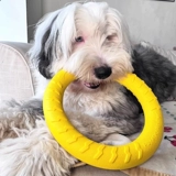 Игрушки для собак игрушки буксируют шлифовальные зубы и чистые зубы интерактивное перетягивание каната