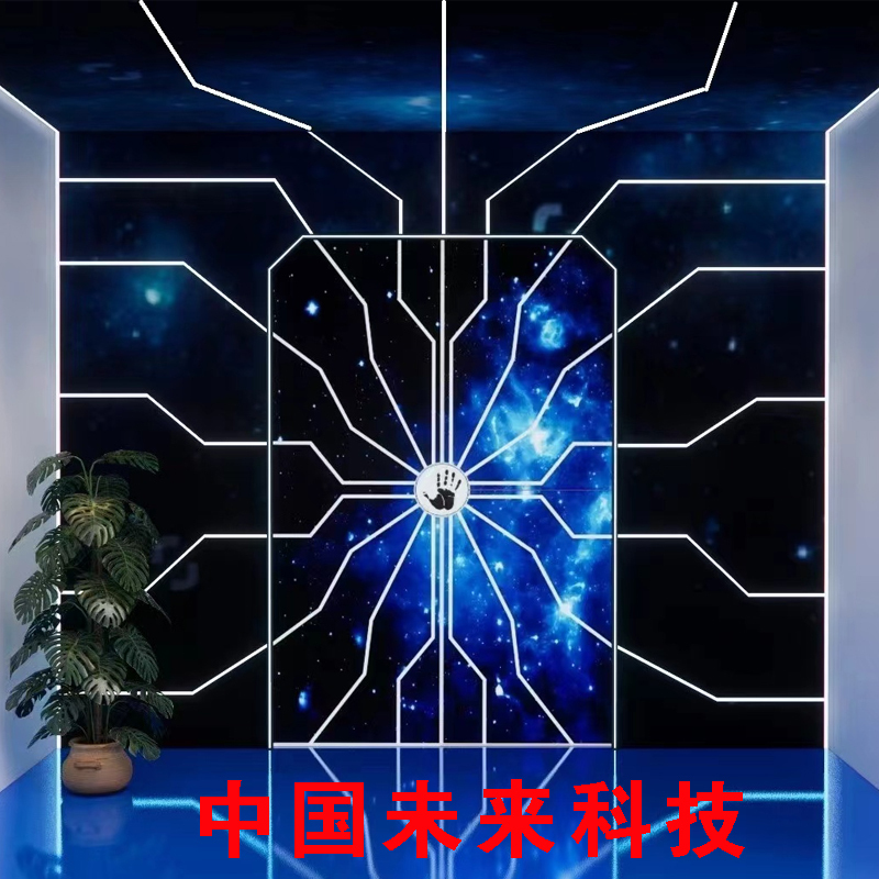 Douyin Technology Door Internet Celebrity Door E-Sports Door Exhibition Hall Door Smart Touch Palm Pattern Door Bar Door Ktv Door Personalized Door