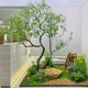Artificial Horsewood Indoor Mall Hotel Window Display Large-Scale Realistic Fake Green Plant Landscape High-End Minimalist Fake Tree Landscaping