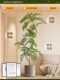 Simulated Green Plant Jacaranda, Indoor Potted Large Artificial Plant, Faux Tree, Light Luxury Living Room Decoration, Floor-Standing Ornament