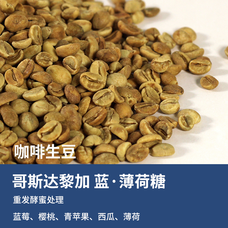 Costa Rica Blue Mint Coffee Green Beans Heavy Fermentation Honey Processed Hujar Estate Premium Hand-Brewed 2025 Season