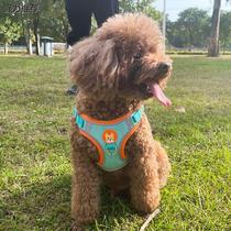 Vest type dog leash small dog Bichon Frize Teddy Pomeranian puppy puppy harness dog walking rope dog chain