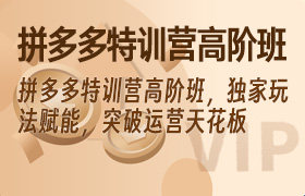 拼多多特训营高阶班，独家玩法赋能，突破运营天花板-无人直播-互联网创业联盟