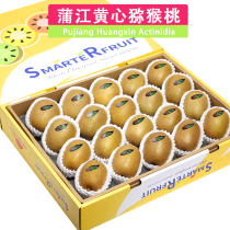 Shunfeng 5 catty boxes loaded with Sichuan Pu Jiang yellow heart chic exotic fruit gold and golden fruits big kiwi fruit fresh fruit