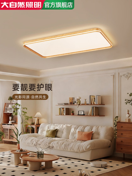 Nature Log Style Living Room Ceiling Lamp Modern Simple Full Spectrum Eye Protection Restaurant Bedroom Whole House Package Lamps