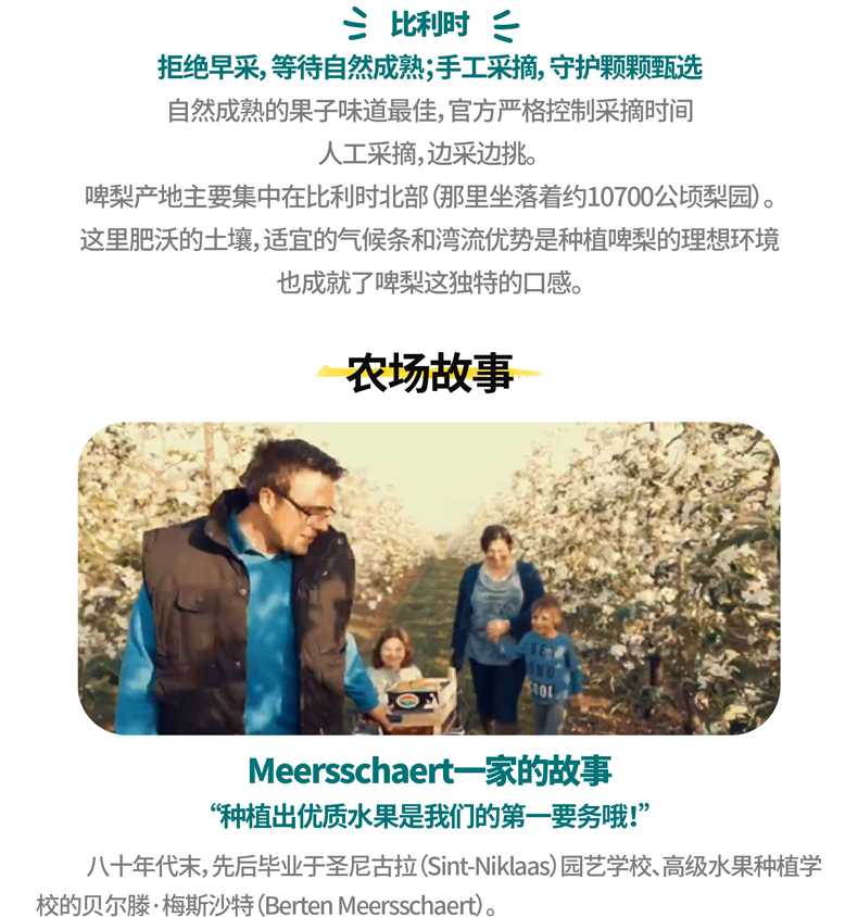 比利时进口 都乐 Dole 啤梨 8只 单果约120g 图4