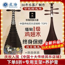 Xinghai official flagship store rosewood chicken wing wood pipa manufacturer direct sales professional performance for children and adults grade examination