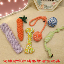 Dog molar toy bite-resistant knotted teddy bear large medium and small dogs self-pleasure molared knotted dog toy