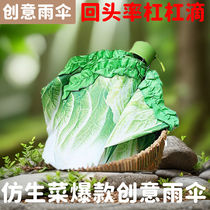 Lettuce umbrella new popular style recommended Chinese cabbage folding funny strange handsome simple niche creative design