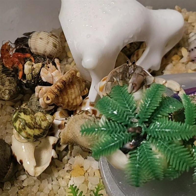 卡拉兽头骨创意摆件与3D打印爬虫守宫躲避屋：技术、功能及应用场景解析