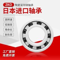 6000 Bearing 60046006608 Ceramic 60016007600560026003 Zirconia