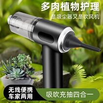 Succulent water blowing artifact electric water-absorbing self-priming car wash blowing dust vacuum cleaner car household dual-purpose suction and blowing dual-purpose gun