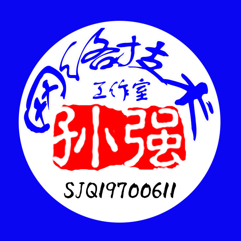 孙强网络技术工作室