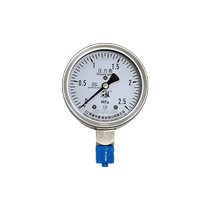 Anhui Tiankang pressure gauge instrument Y-100B stainless steel pressure gauge