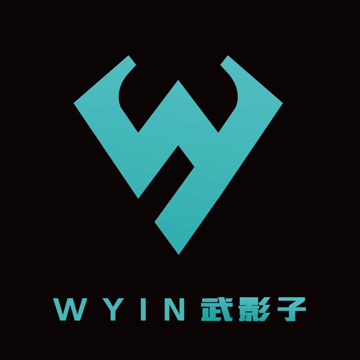 武影子数码企业店