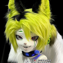 kig skull handsome young fox type pure skull not finished product