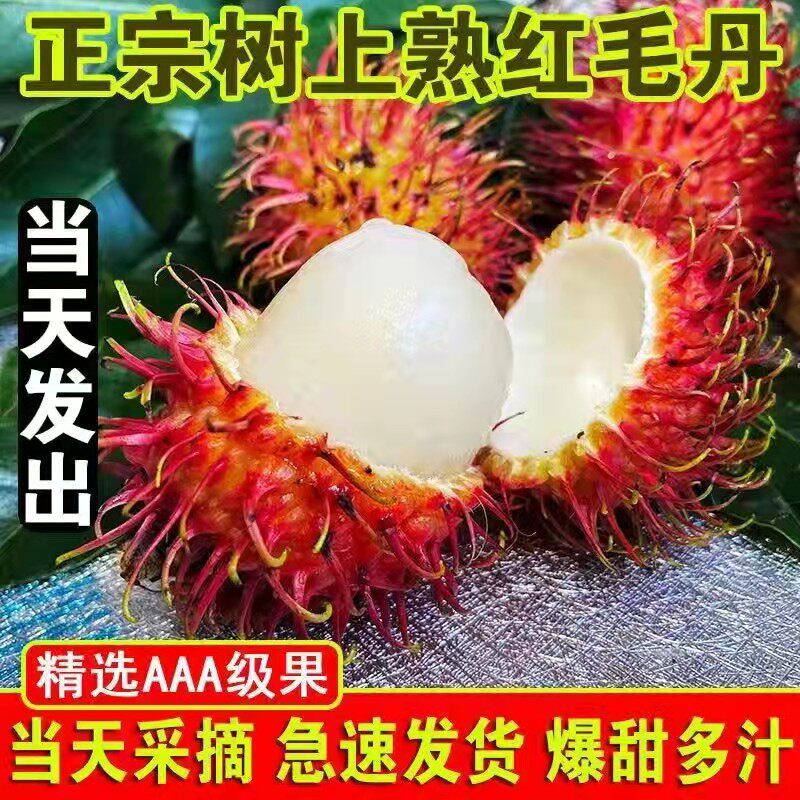 海南红毛丹新鲜水果：当季毛荔枝，3-5斤带箱包邮，尝鲜就趁现在！-毛丹-淘宝好物网
