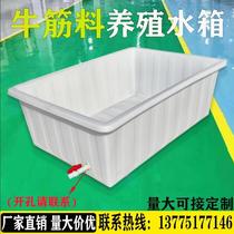 Bull Fascia Plastic Water Tank Rectangular Aquaculture Fish Tank Selling Fish Glue Basin Water Storage Barrel Square Chest Turtle box thickened