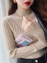 Autumn Winter Knitted Ribbed Turtleneck Sweater Women Clothe