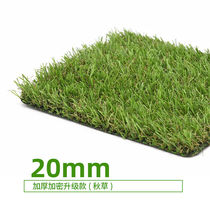 CCGrass Créer une simulation artificielle pelouse 20mm tapis de jardin de jardin denfants de jardin denfants terrain de football commercial