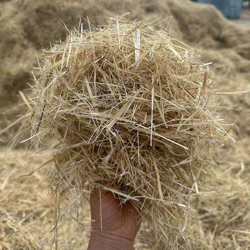 Straw and Hay Bedding for Chicken Nests, Home Use, Northeast Pure Natural Sun-Dried, for Small Rabbits, Pigeons, Pet Warming Grass Mat Straw and Hay Bedding for Chicken Nests, Home Use, Northeast Pure Natural Sun-Dried, for Small Rabbits, Pigeons, Pet Warming Grass Mat