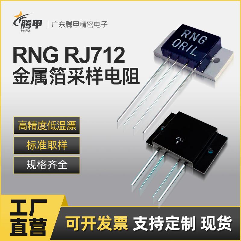 Rng-1 Metal Foil Resistor Rj712 Low Resistance High Precision High Stability Power Type Resistor 5Ppm 0.01%