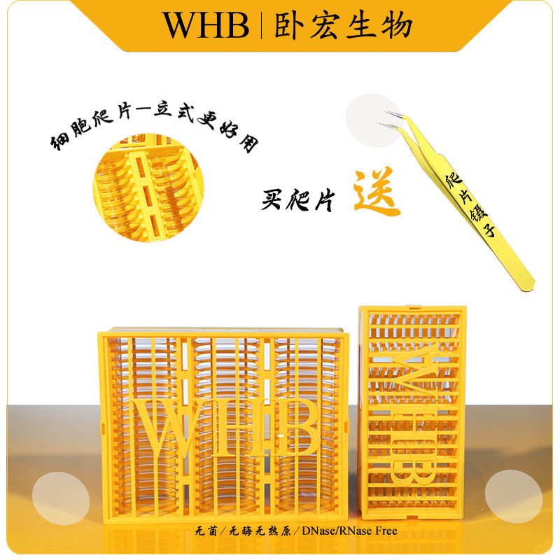 【包邮】WHB卧宏 立式圆形细胞爬片TC处理&Phi;3/8/14/20/24mm盖玻片