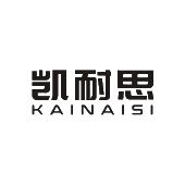 凯耐思品牌店