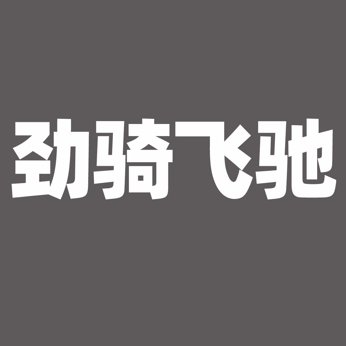 劲骑飞驰