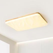 Galaxy Living Room Lamp Log Style Simple Japanese Ceiling Lamp Seamless Puri Full Spectrum Eye Protection Whole House Package