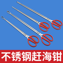Stainless steel yellow eel clips eel fish loach crab pliers anti-slip and control fisher multifunction special catch-up for the sea deity