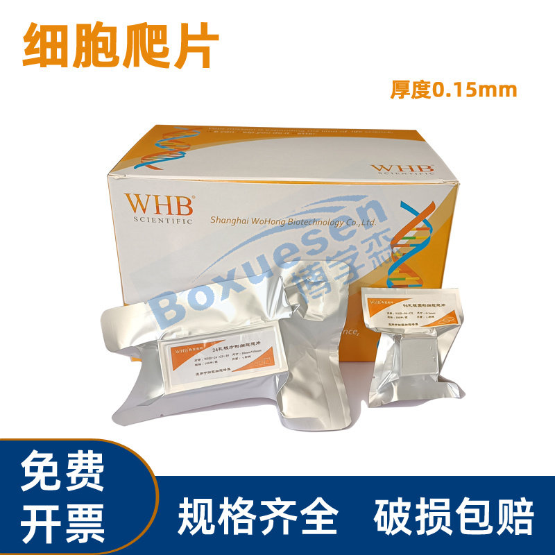 WHB无菌方形细胞爬片tc处理盖玻片包被细胞爬片6孔12孔24孔48 96孔爬片 100片一盒