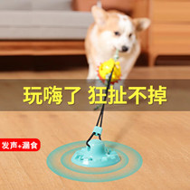 Dog tug-of-war toy consumes physical force leakage of food Tibetan food is resistant to bites and pets interact to pull the ball they play