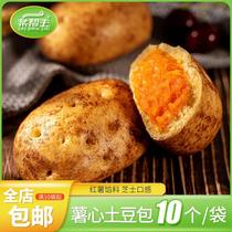 薯心土豆包10个特色早点速冻半成品加热即食儿童早餐糖心红薯包子