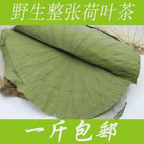 Chicken natural lotus leaf tea lotus leaf lotus leaf rice wild brewed tea slices lotus leaves whole dried lotus leaves