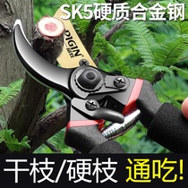 German Seiko special scissors for cutting branches fruit tree pruning scissors gardening scissors SK5 garden pruning tree household