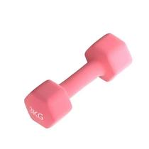 Dip plastic dumbbell womens fitness home equipment solid pure iron small dumbbell mens yoga training arm hair straightening