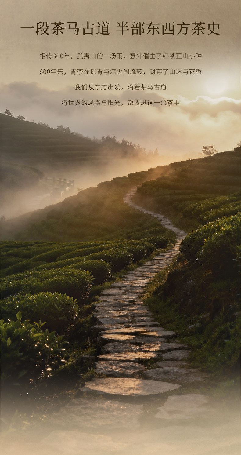  霸王茶姬 [ 东方原叶系列 ]袋泡茶 独立包装花茶 乌龙茶合集3g*9包